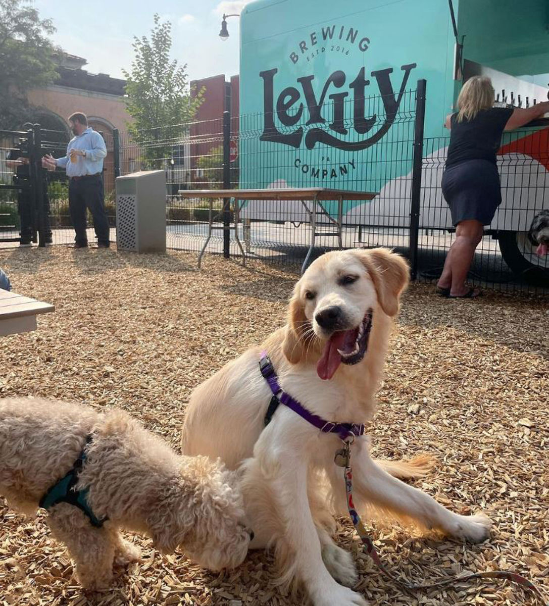 Newly completed Dog Park.JPG