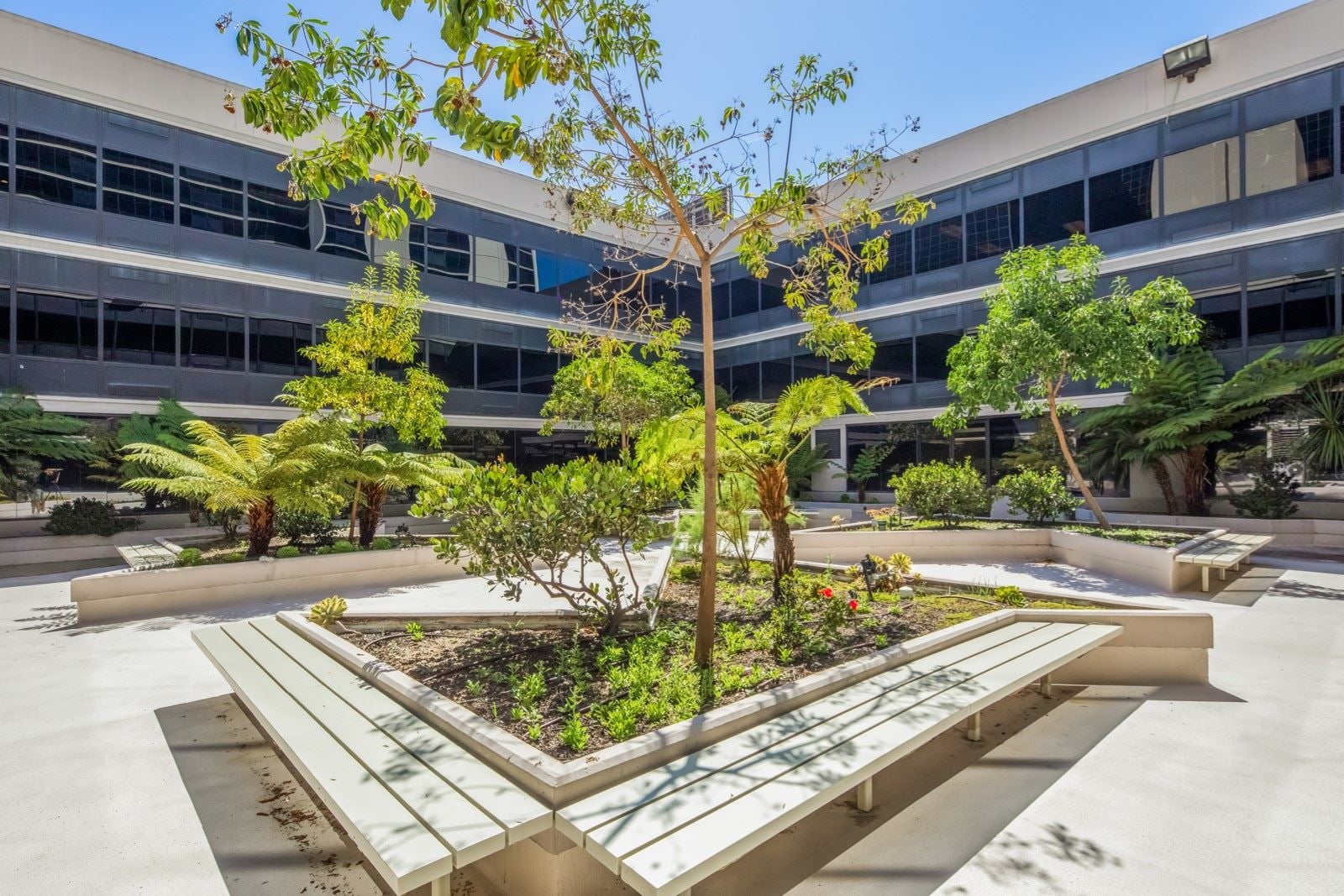 4B9A3086_colorcorrected