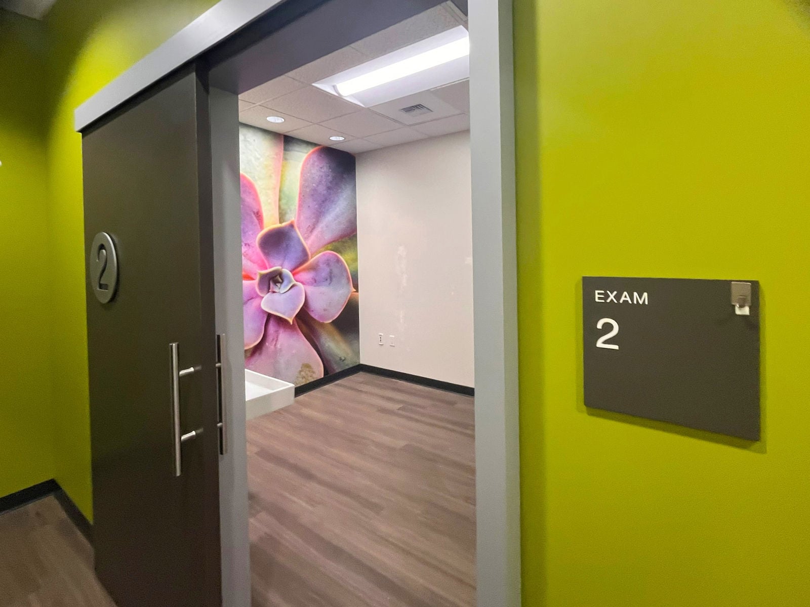 20250228_180241095_iOS copy