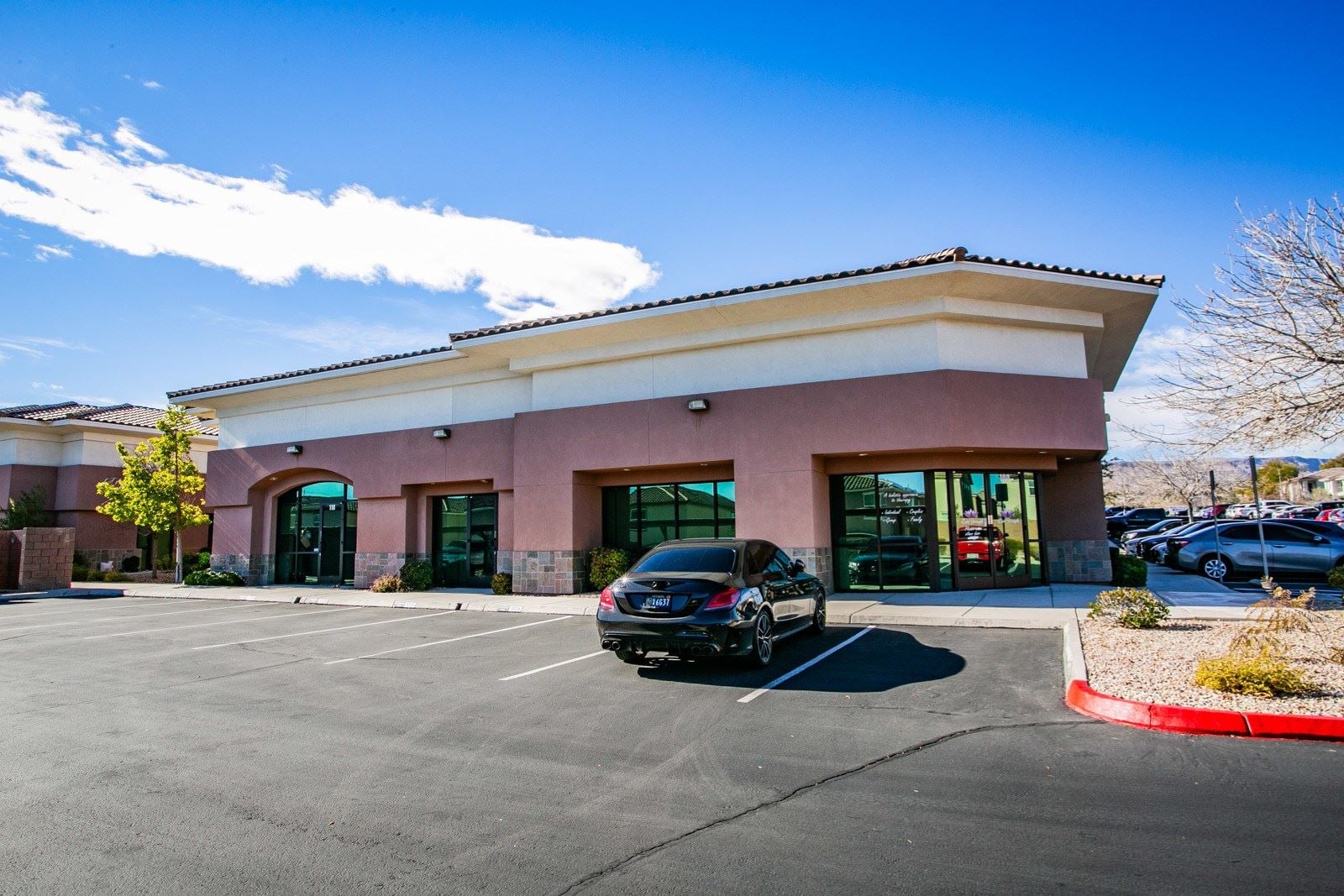 Cover Photo - HSP-82