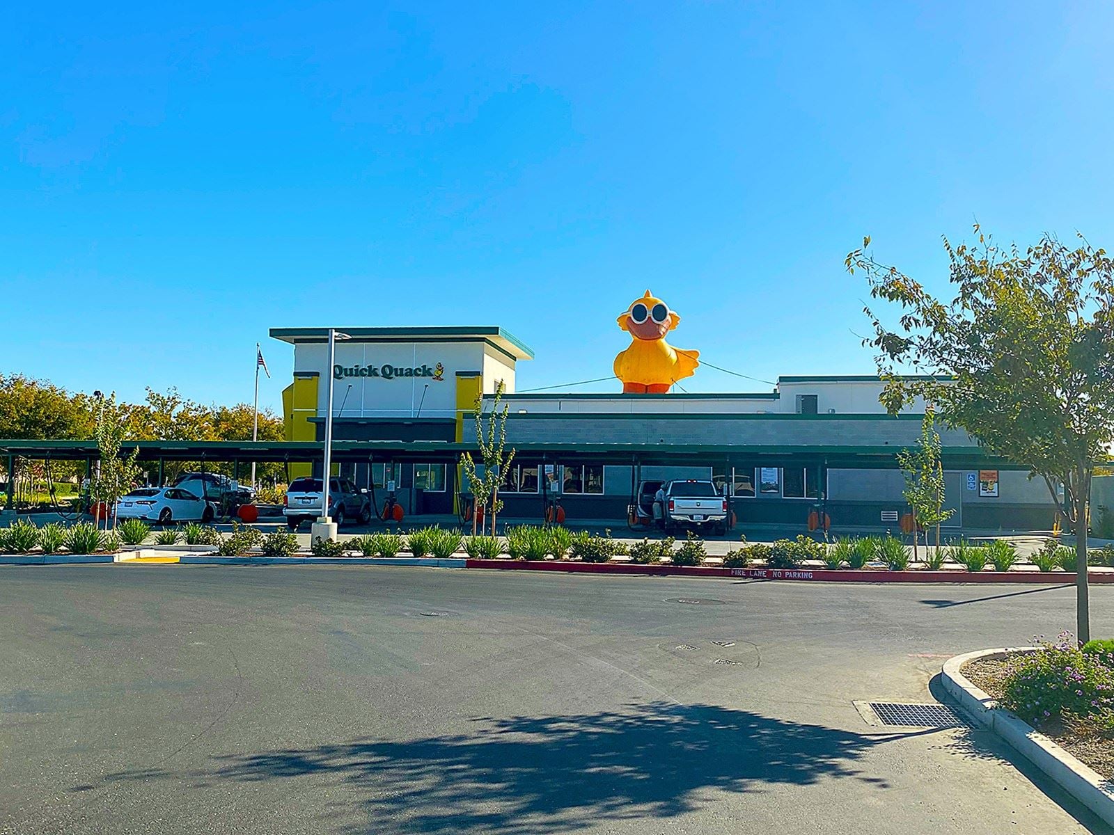 College Square South Pads