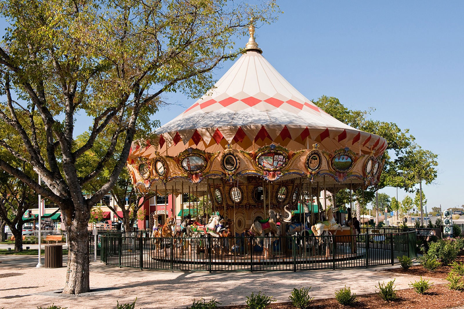_DSC4412 - NT carousel daytime
