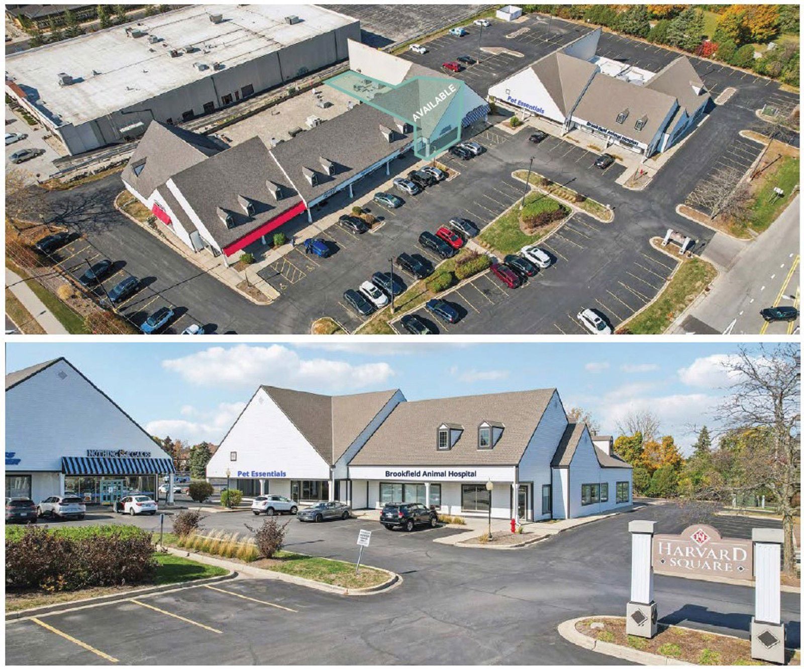 Photos 2_Harvard Square