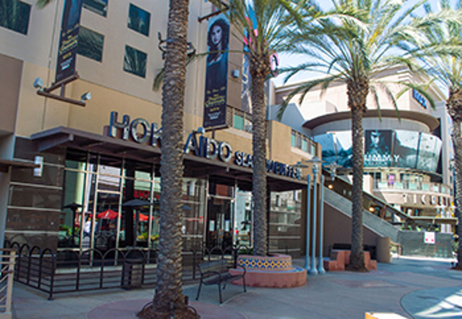 BEV_109Palm-CL Image 350w