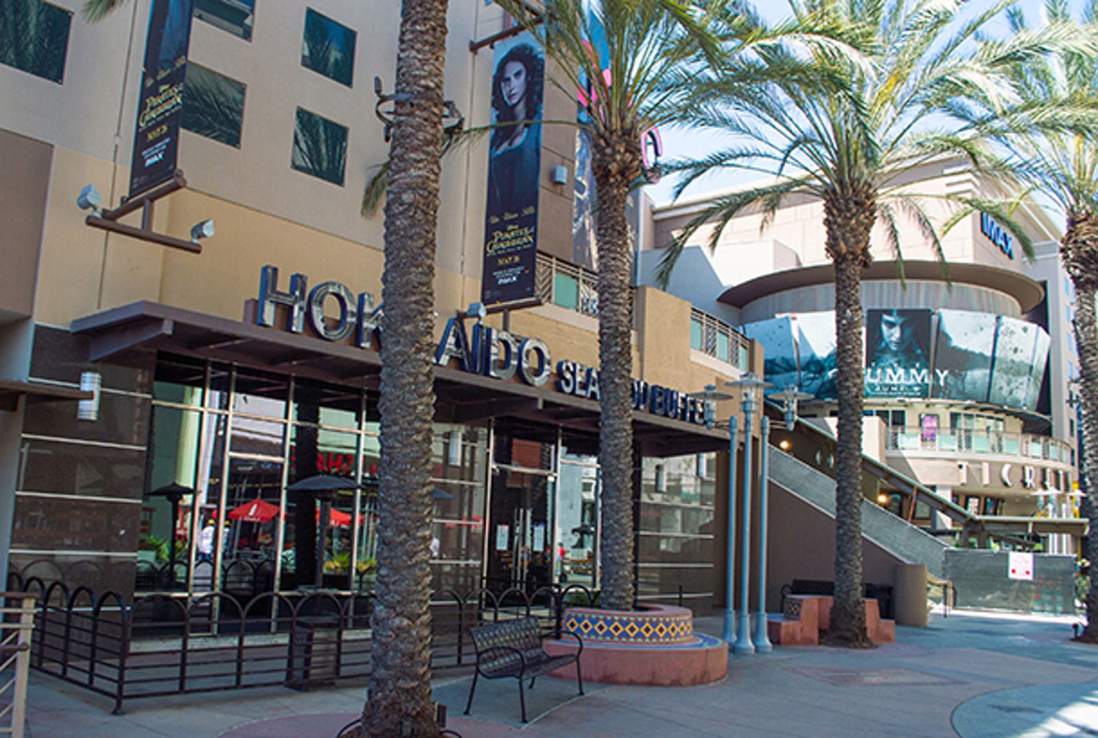 BEV_109Palm-CL Image 610w