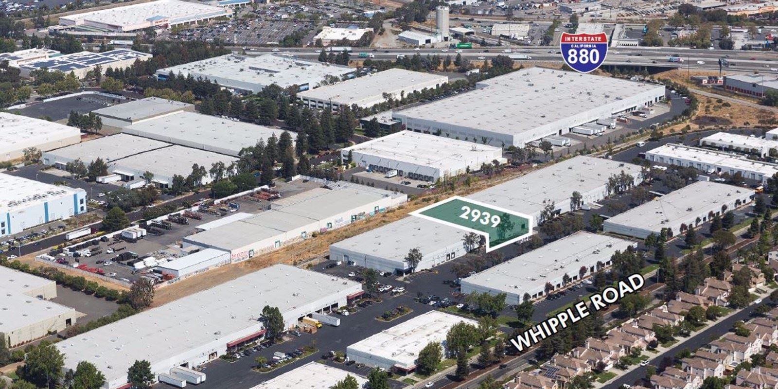 Capture - whipple.JPG