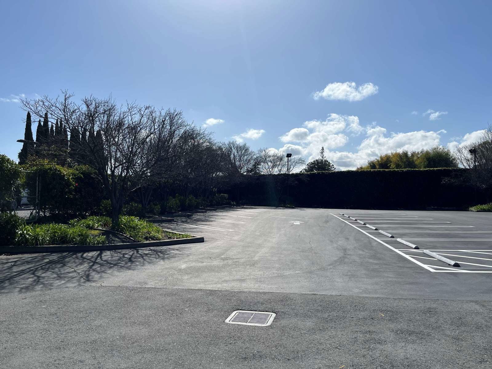 2189 Leghorn, Mt View.v