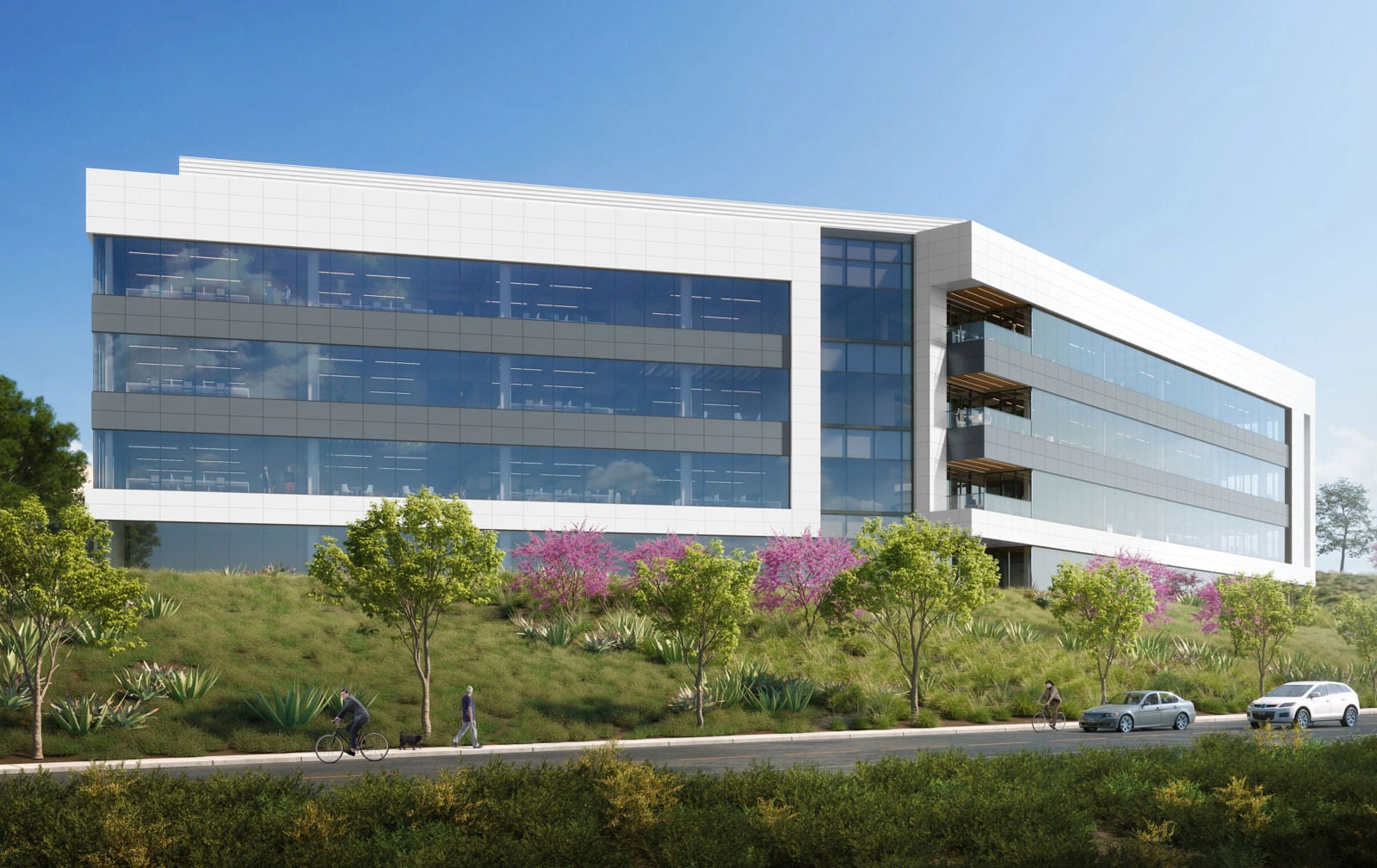 TC_Sorrento Labs_Updates_v07_A01_Low-res