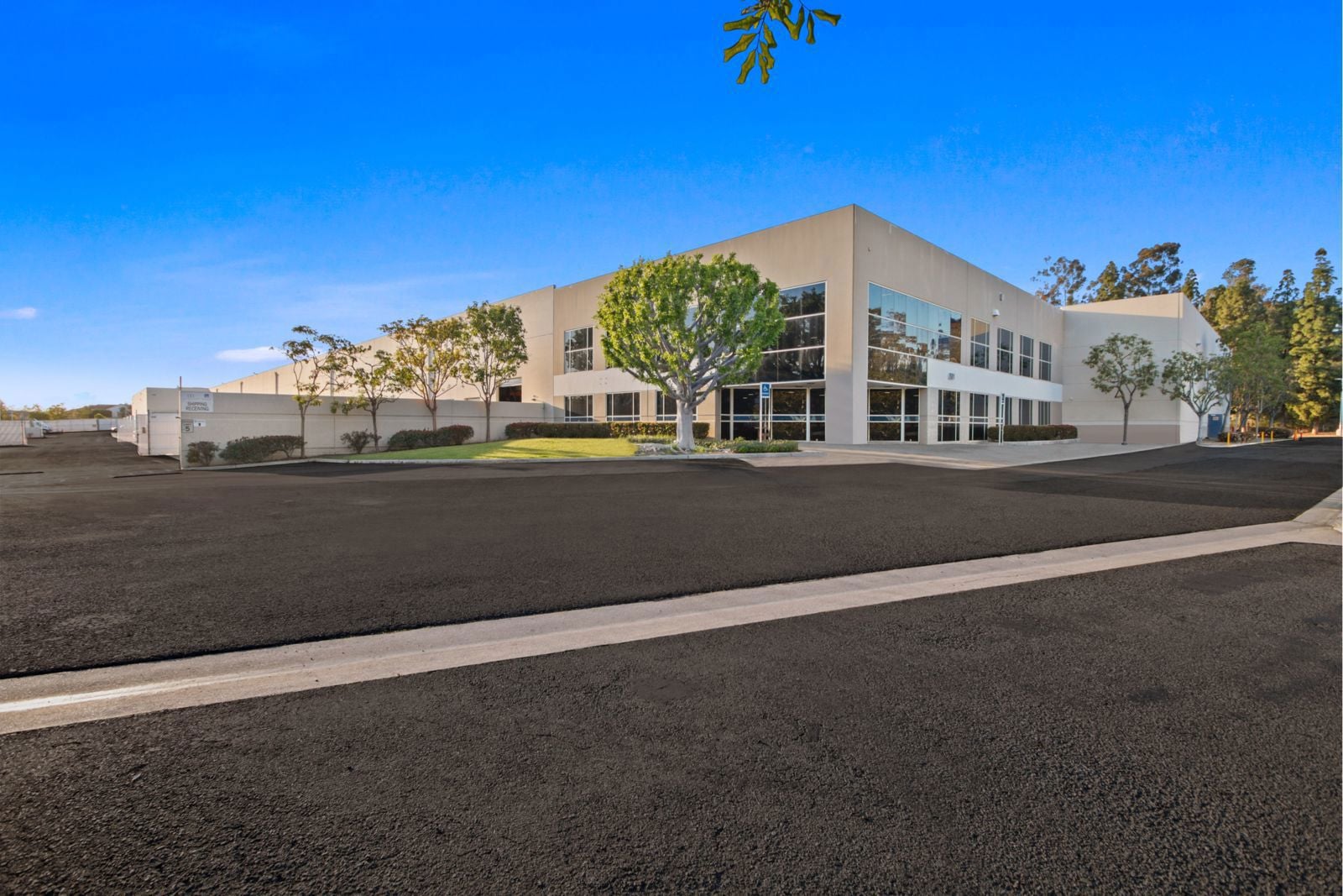 Burning Tree 691 (2)