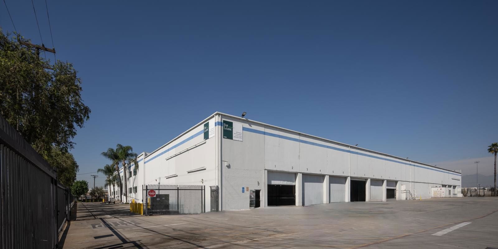 NZ9_2306-Edit-Edit-Edit