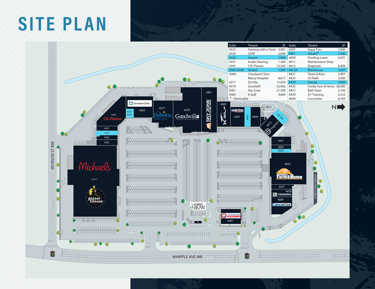 Springbrook Plaza_Site Plan