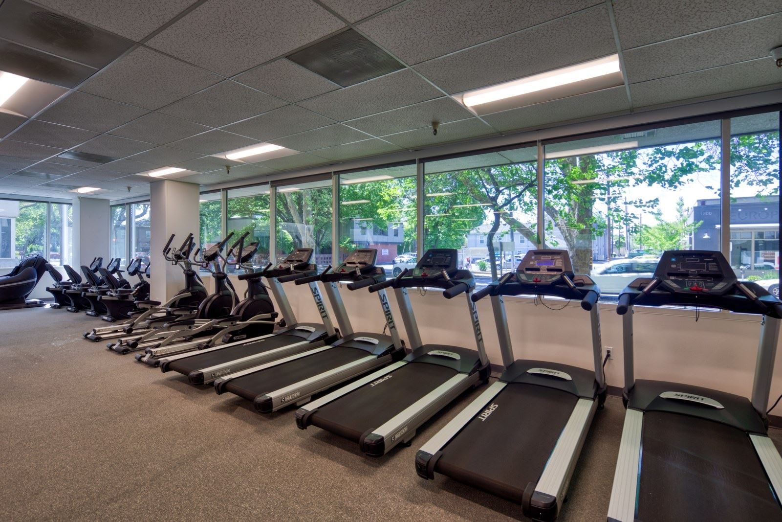 1515 S St - Interiors_5D44065_HDR