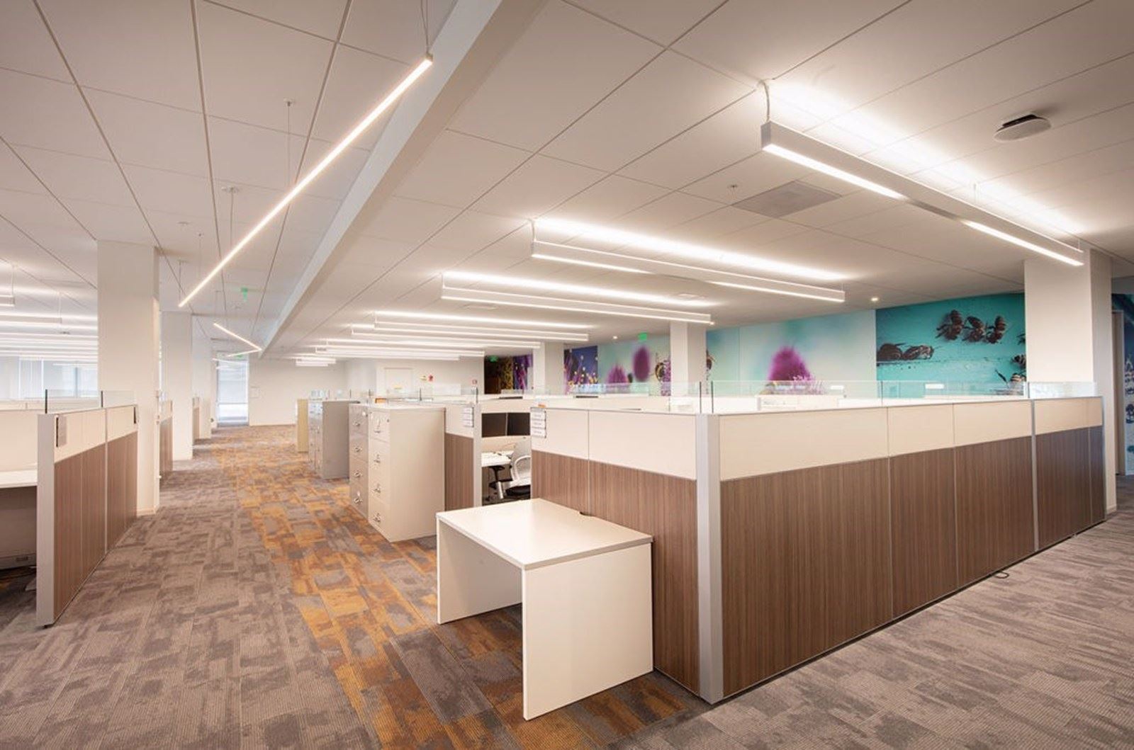 300 & 500 Lincoln Centre Drive - Image 6