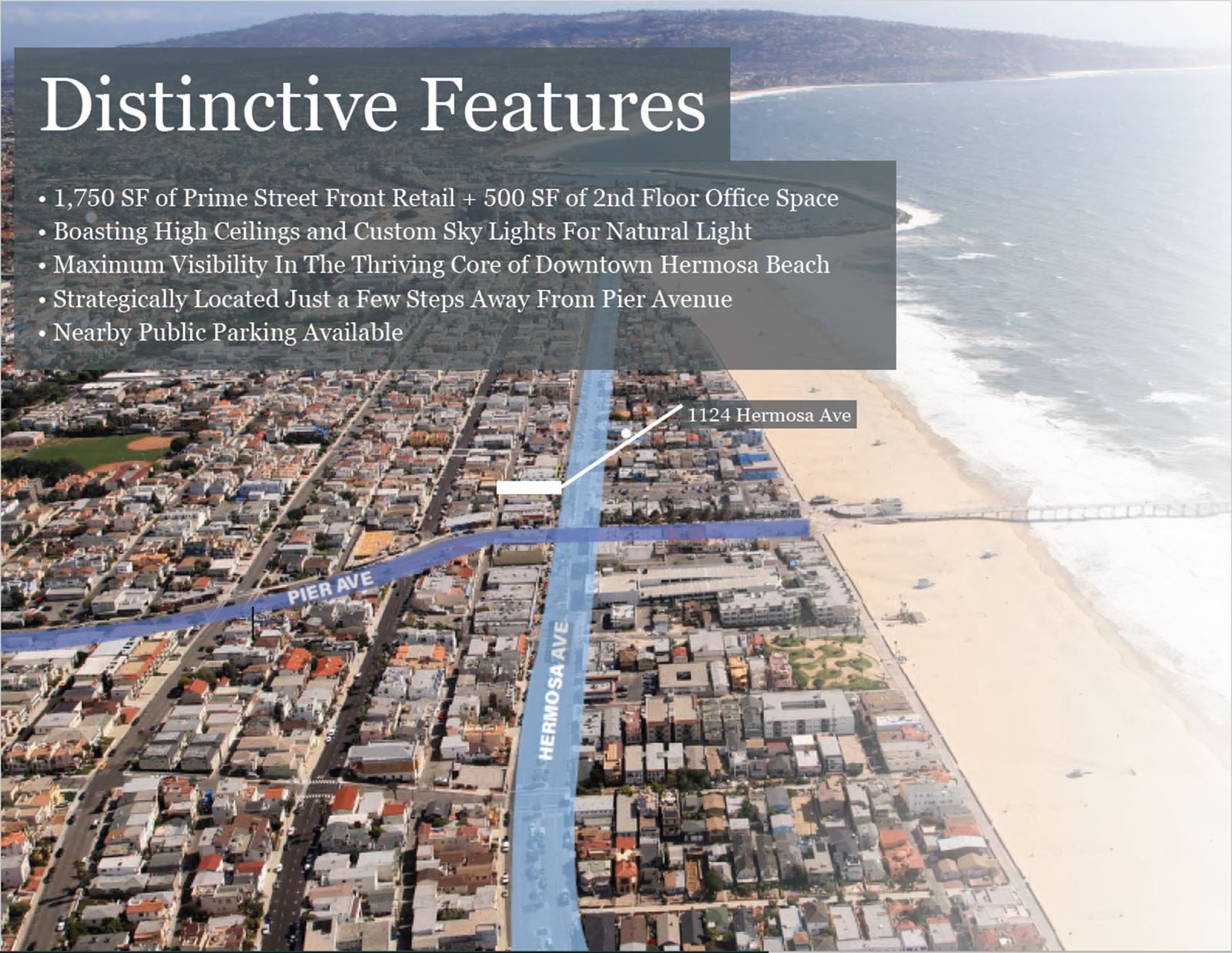 Distinctive Features.PNG