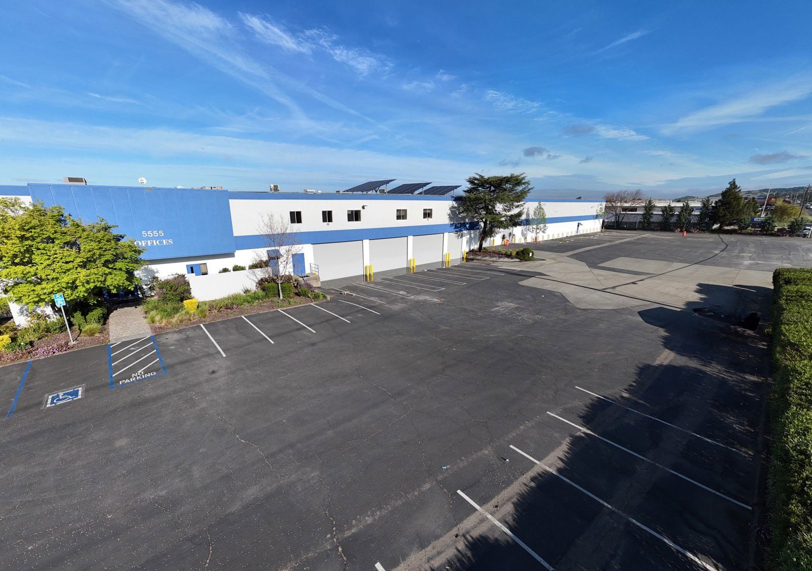 5555.front.angleL.close (002).JPG