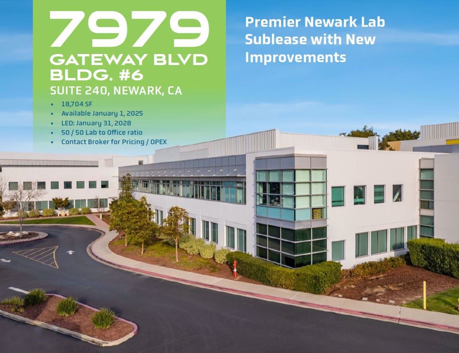 7979 Gateway Blvd.JPG