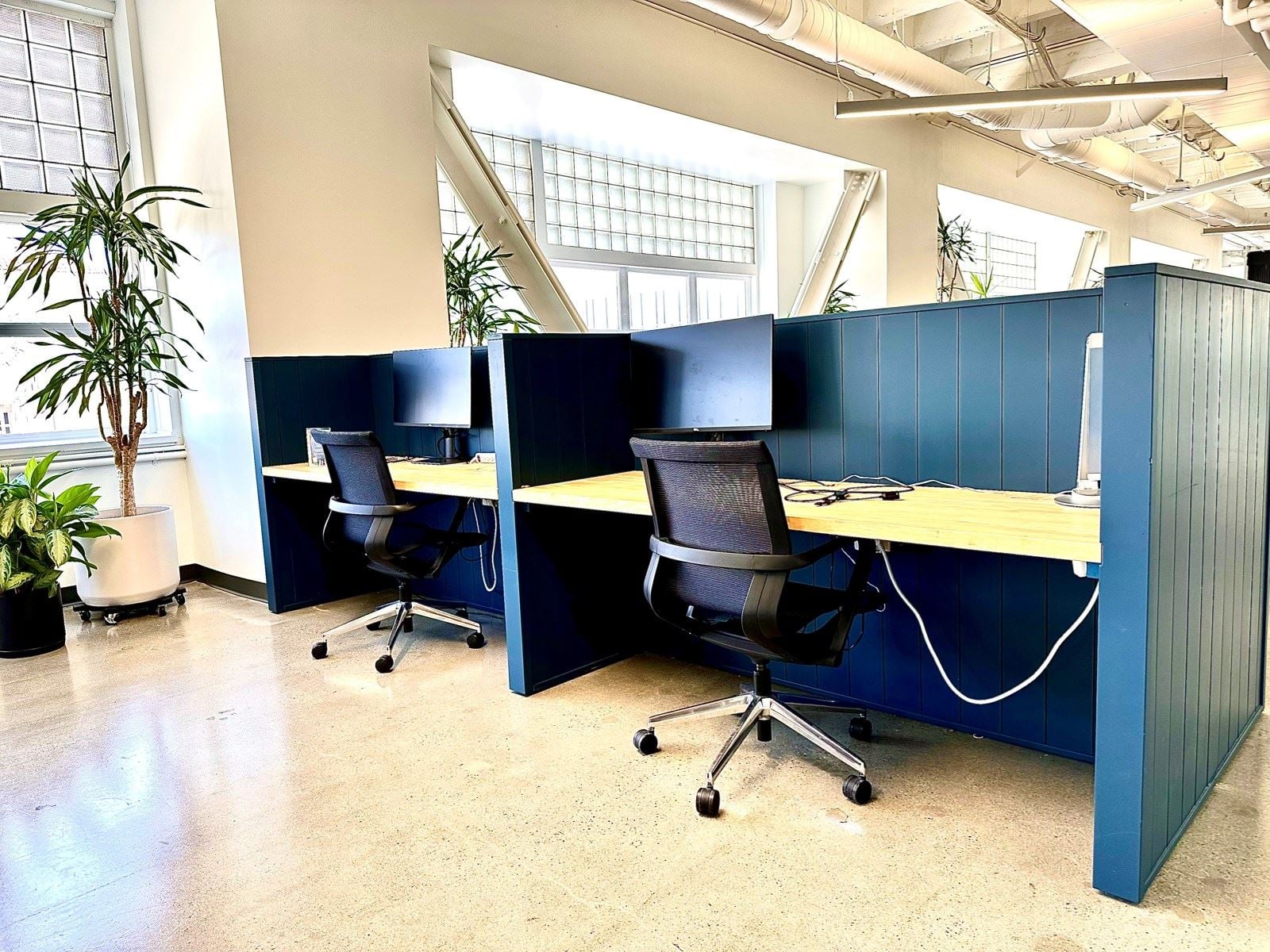 Photo Aug 22 2024, 11 26 33 AM