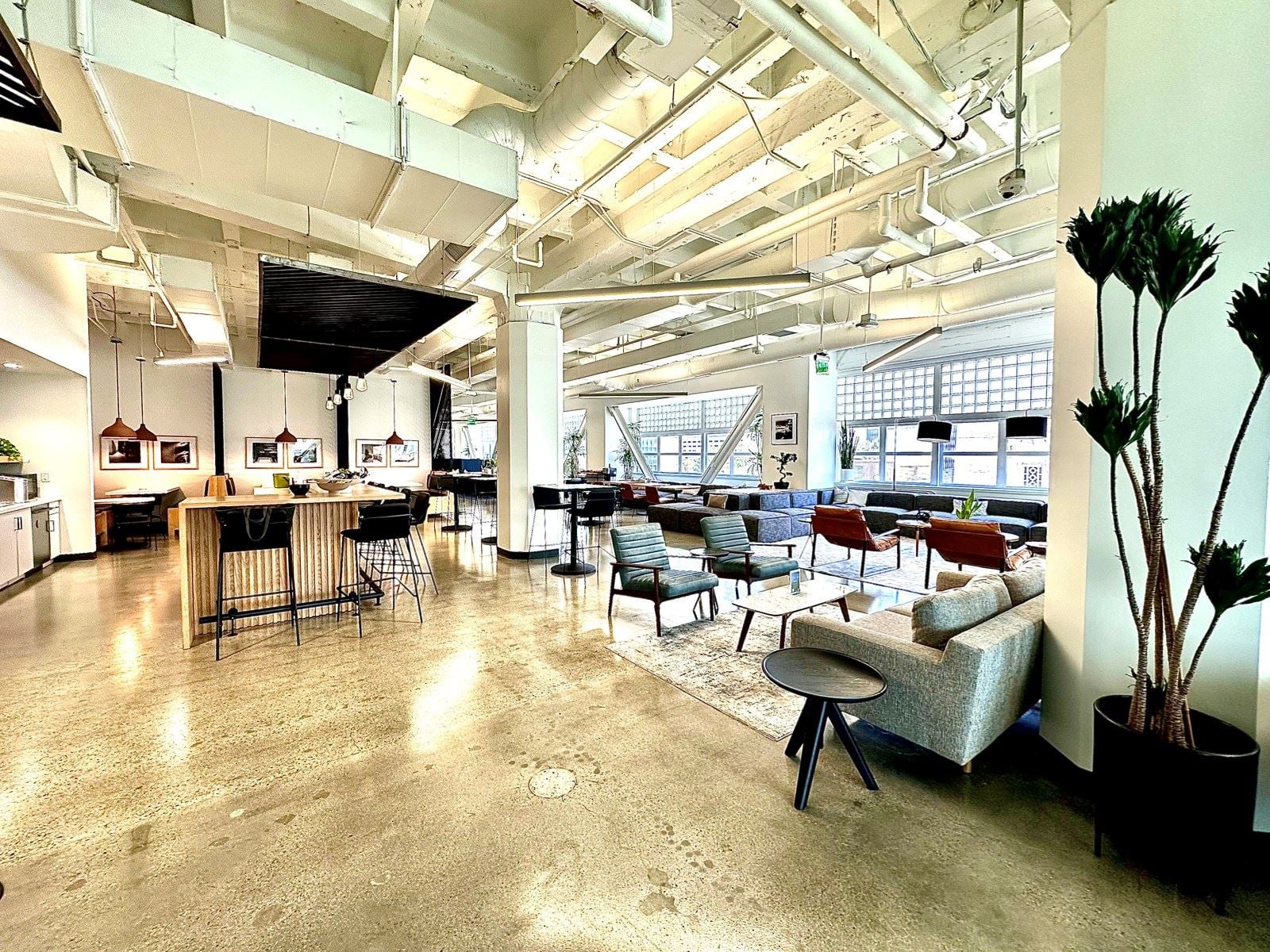 Photo Aug 22 2024, 11 19 21 AM