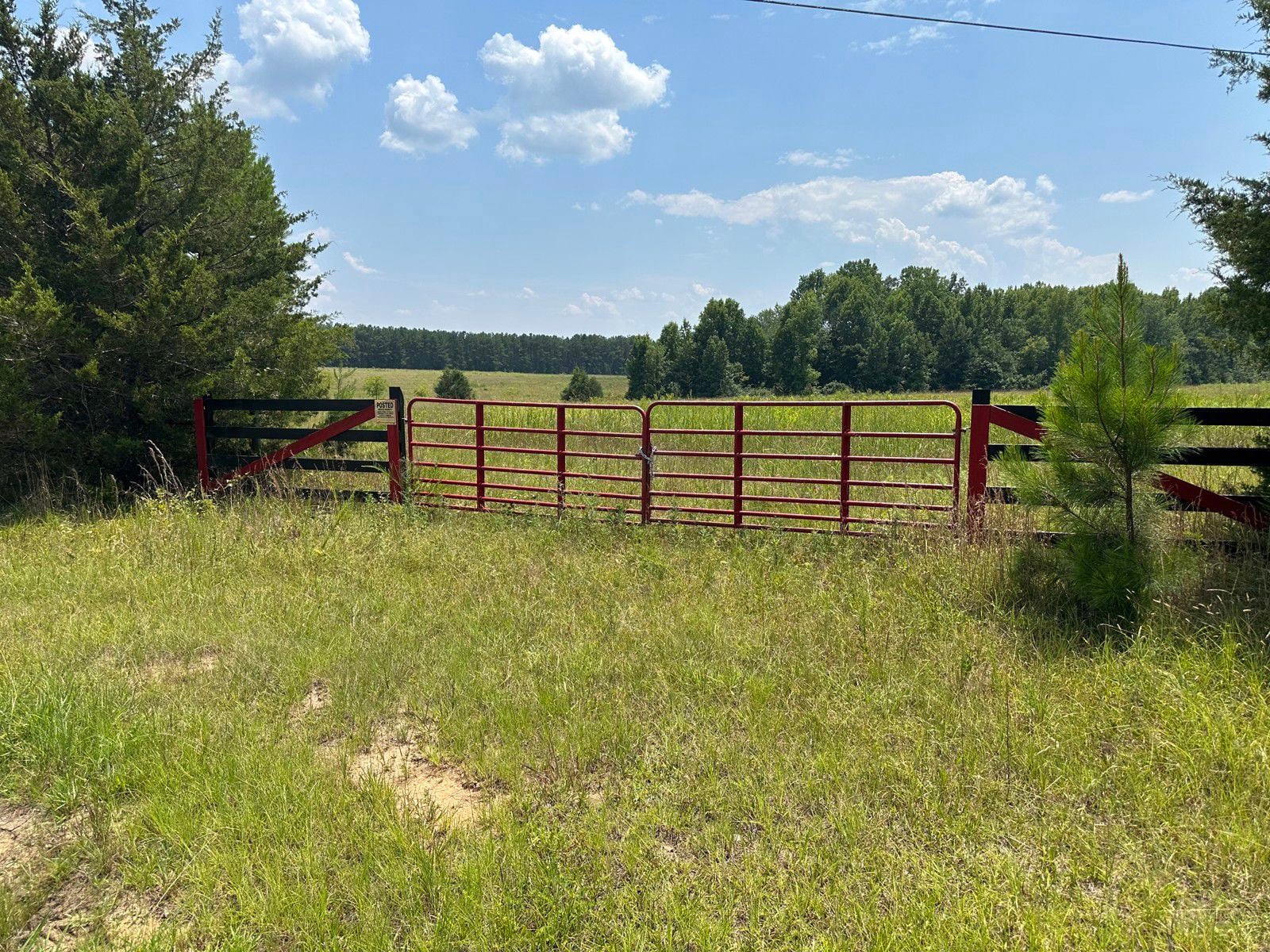 20240715_184137746_iOS