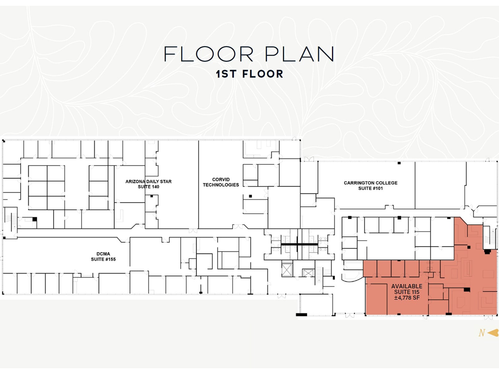 201 N Bonita Ave_1st Floor