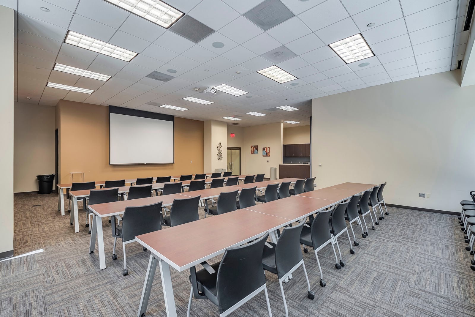 433 E Las Colinas Blvd-11.JPG