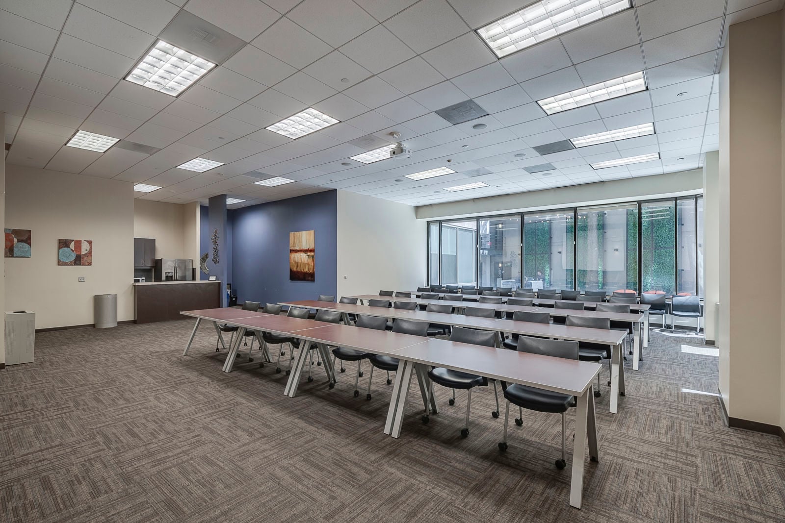433 E Las Colinas Blvd-10.JPG