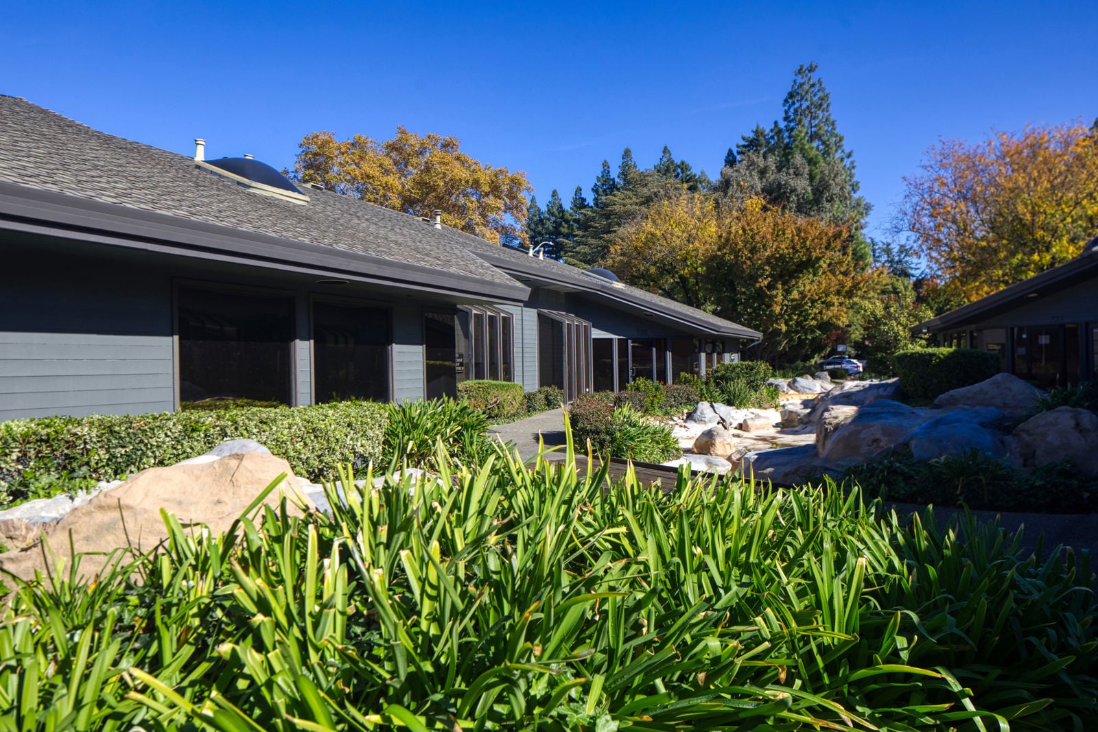 Exterior_74A4483_HDR