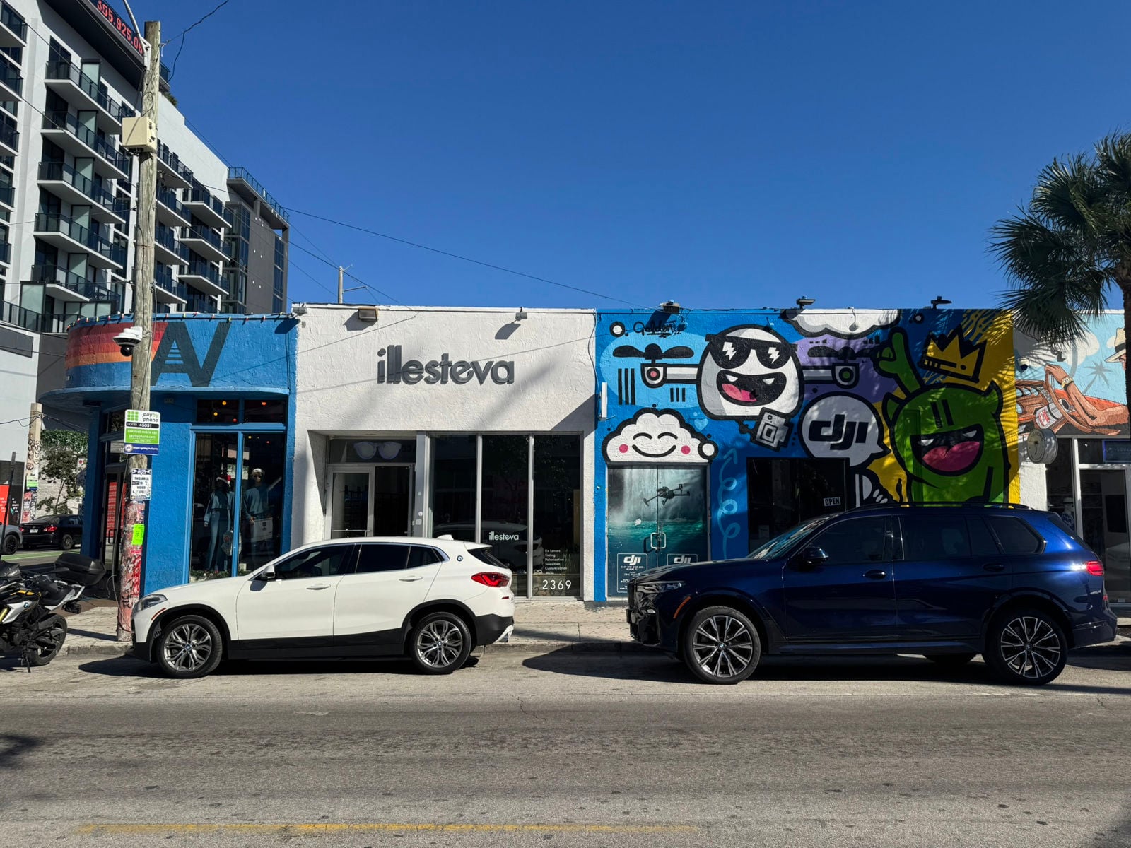 Co-Tenants - Aviator Nation and Illesteva.JPEG