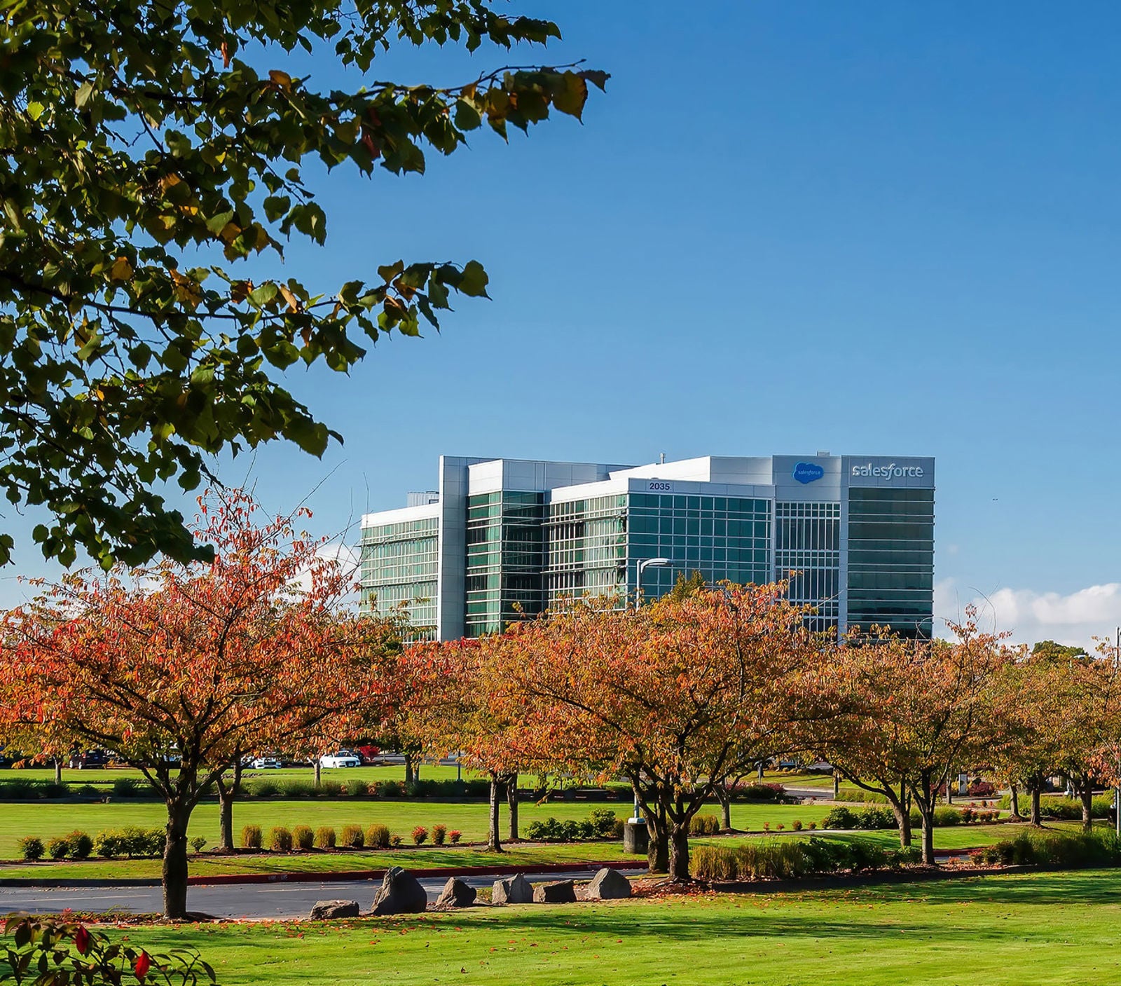 2035-Salesforce_059-CROPPED