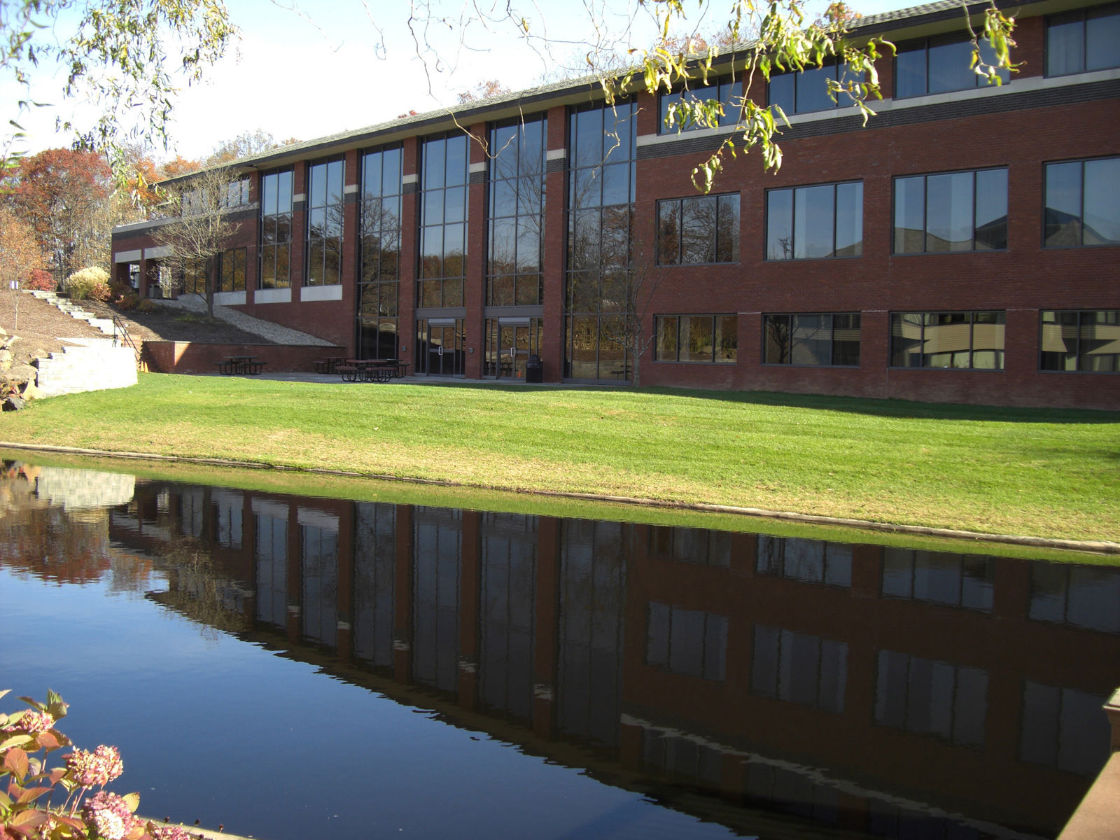 CIMG1995 (2020_06_24 13_03_55 UTC).JPG