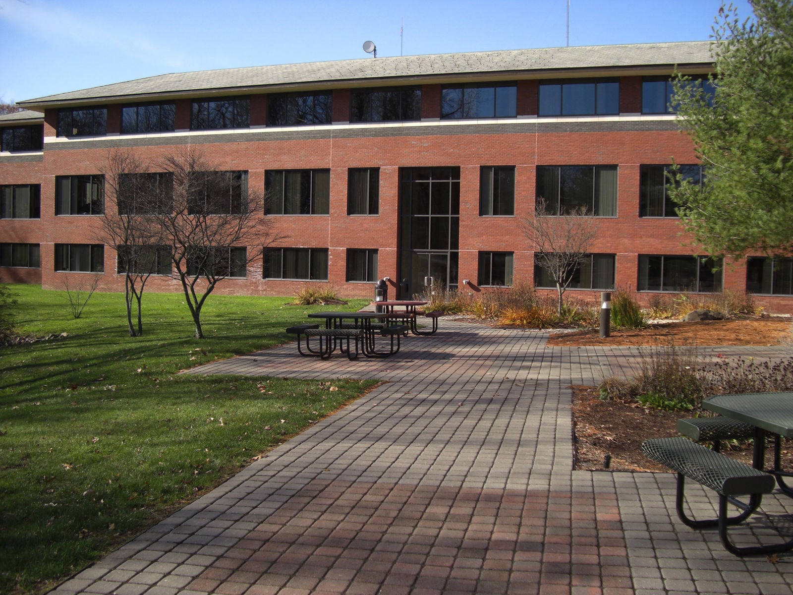 CIMG2000 (2020_06_24 13_03_55 UTC).JPG