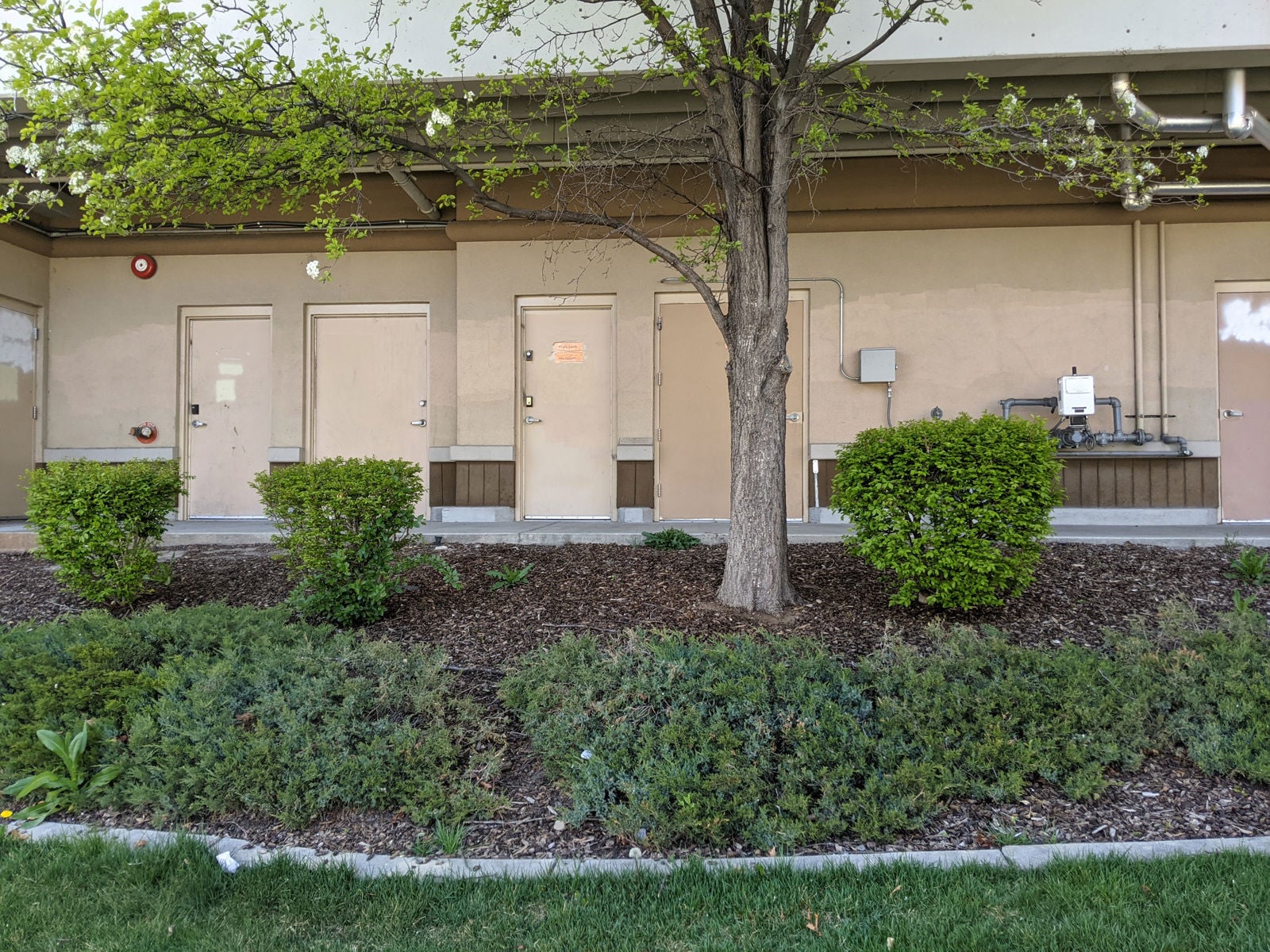 PXL_20210420_212843700