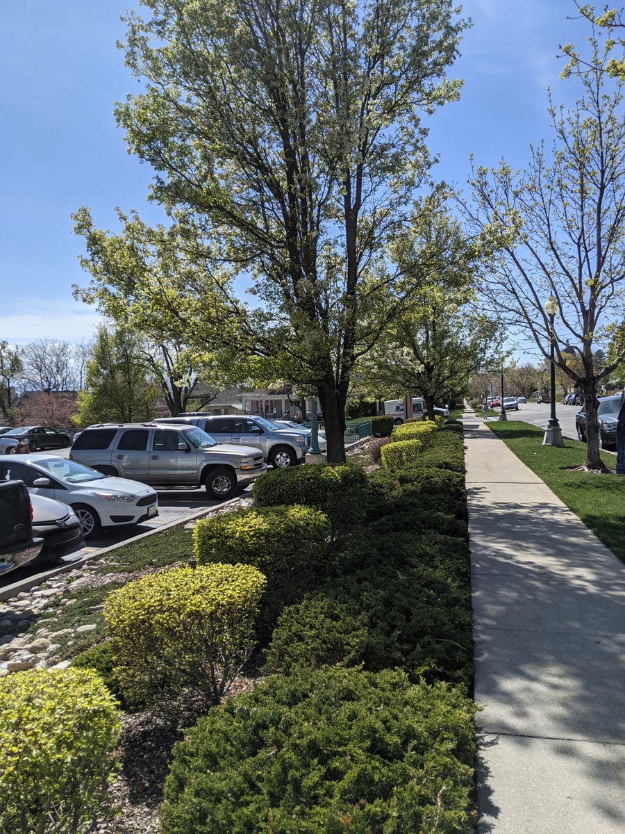 PXL_20210420_213806118