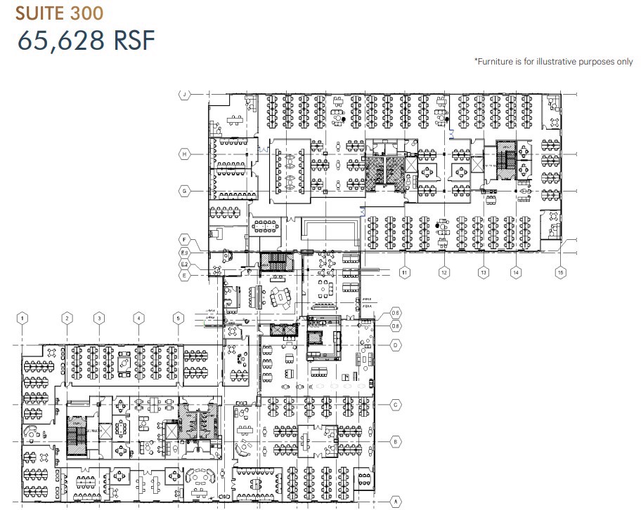 13929 Center Lake Dr - Parmer 4.1 Floorplan