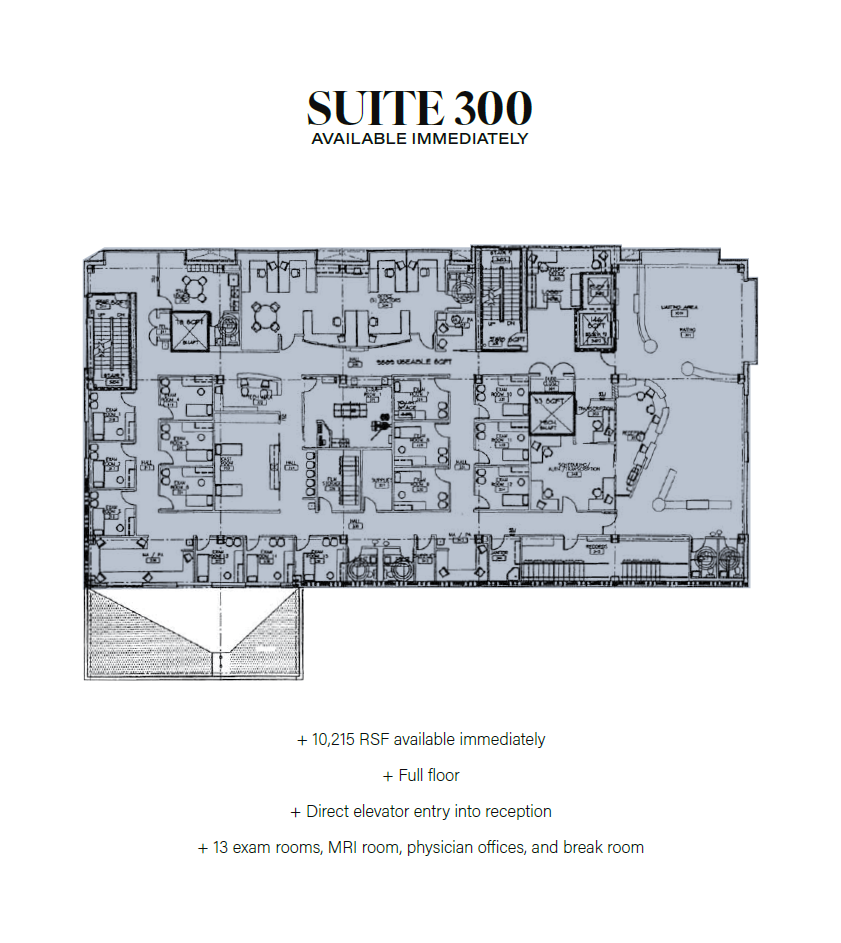 Screenshot 2026-03-13 123305