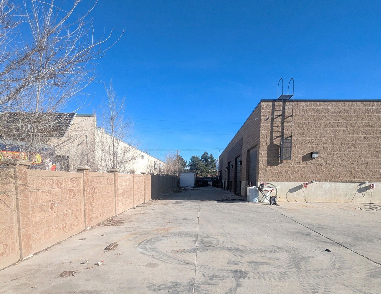 PXL_20250324_154253478_Edited