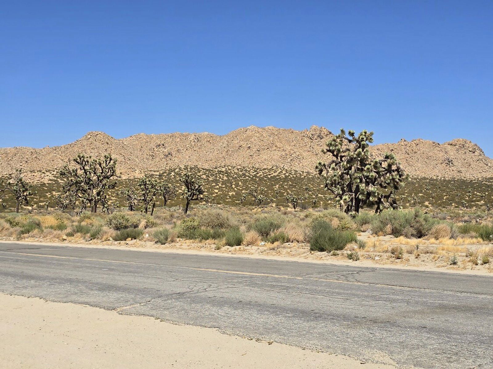 145 East Avenue Q - Image 8