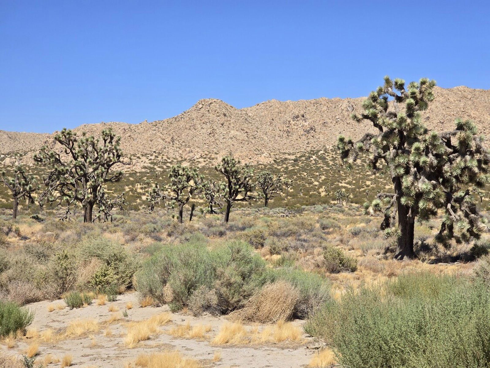 145 East Avenue Q - Image 9