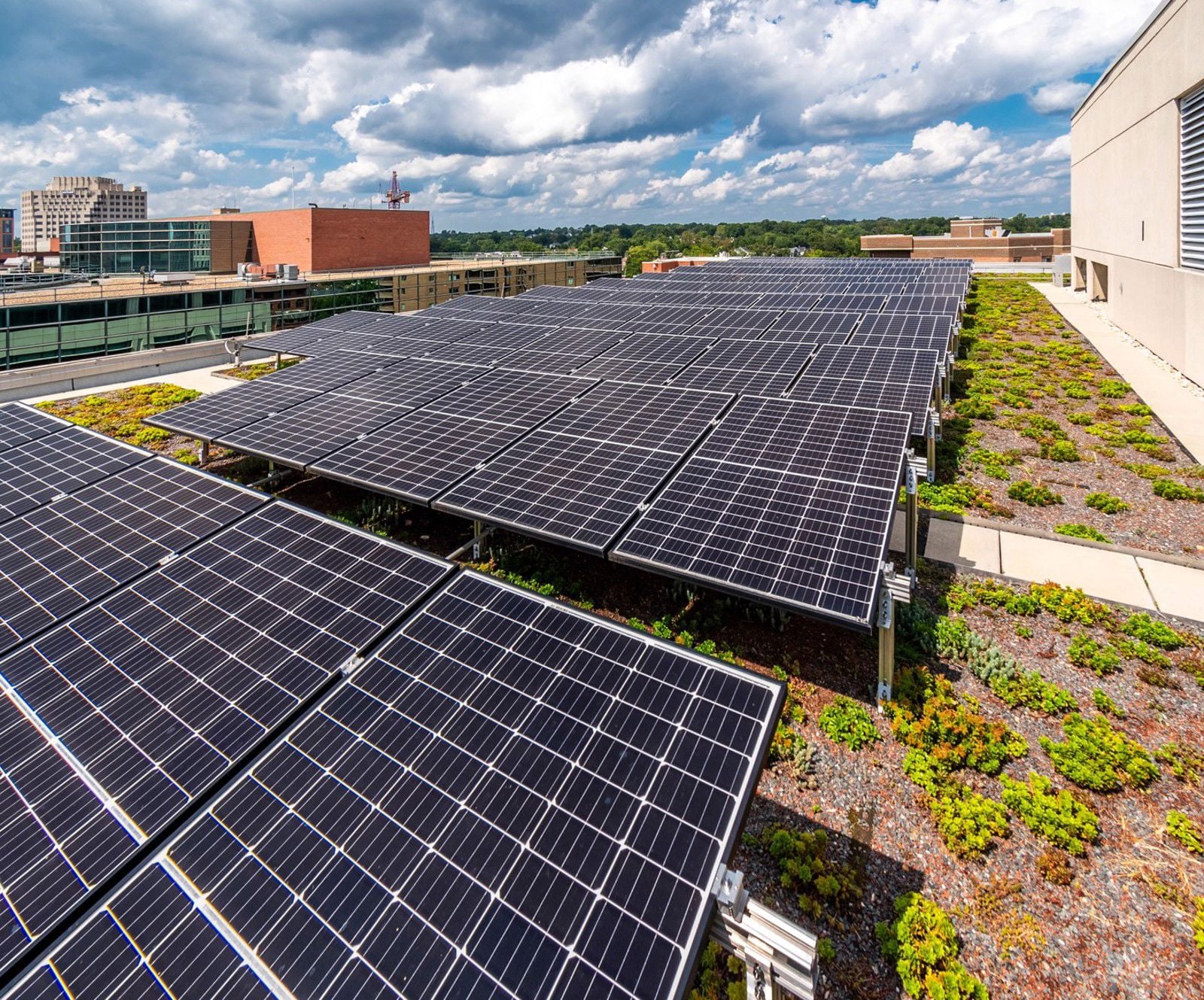 TNC - Roof Solar Panels 2