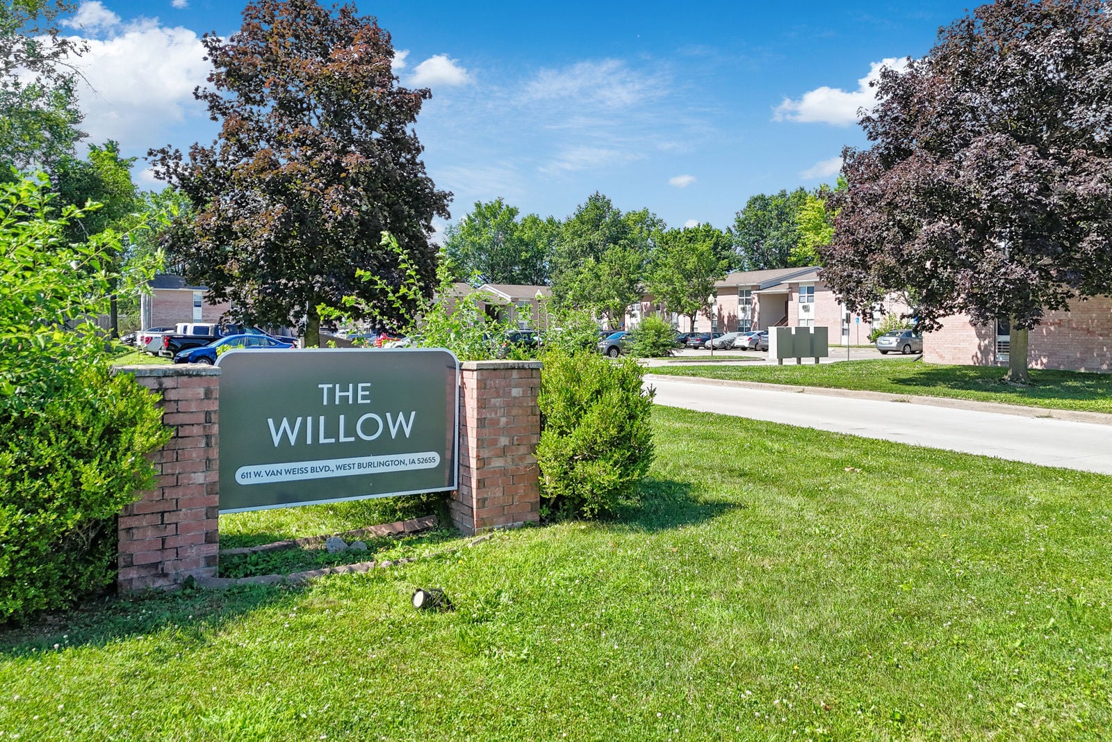 The Willow