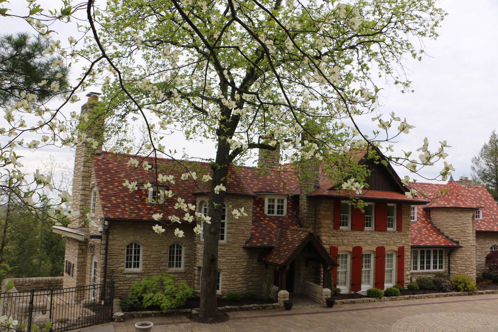 IMG_2632_studio_dogwood_wide