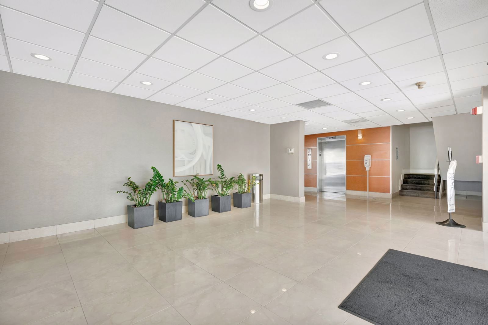 56-web-or-mls-DSC09004