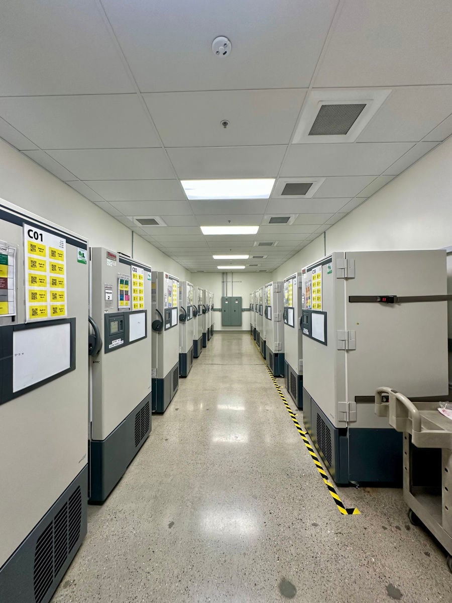 870 Industrial Rd, San Carlos