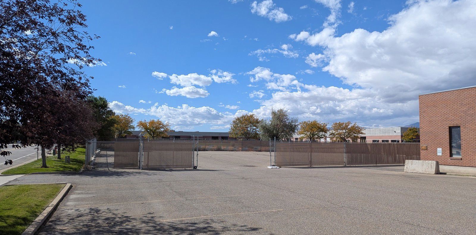 PXL_20251003_173145610.MACRO_FOCUS_Cropped