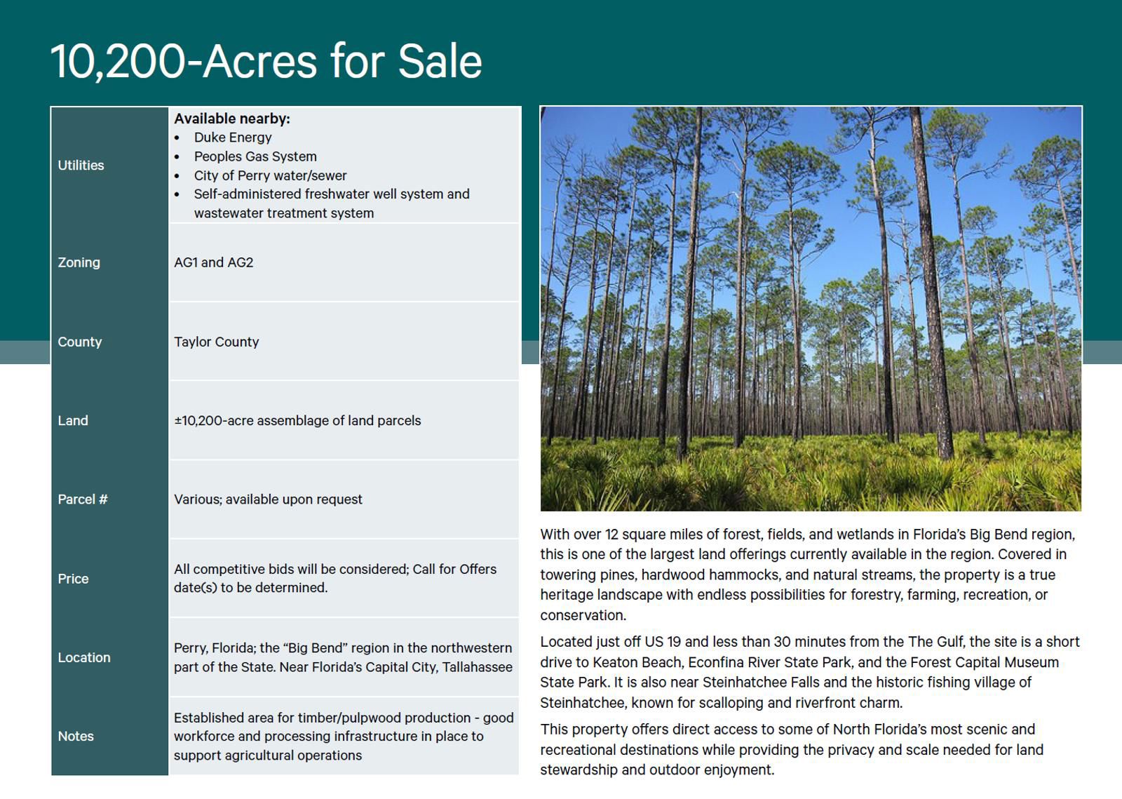 Timberland Investment, Perry, FL - 2