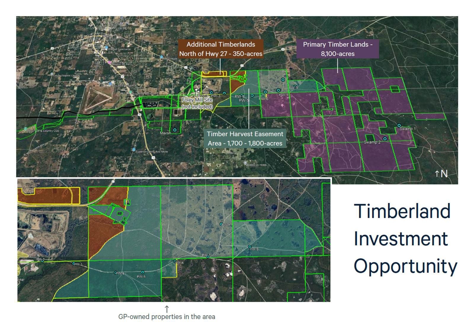 Timberland Investment, Perry, FL - 3