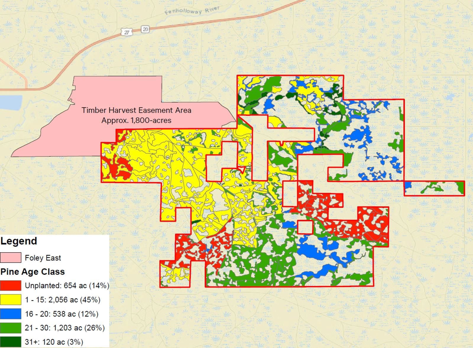 Timberland Investment, Perry, FL - Pine Plantations (4,572 Acres Planted)