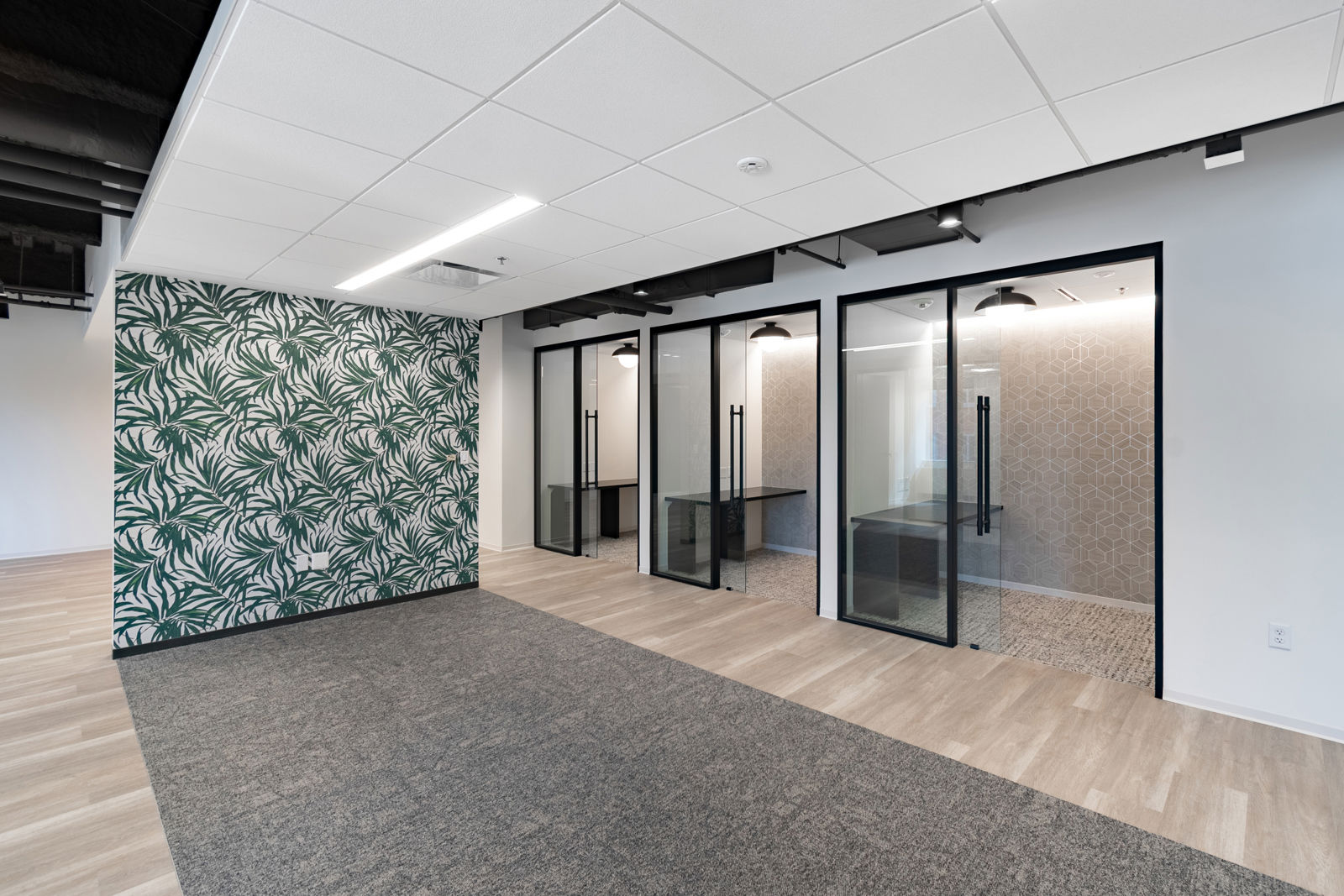 4401 N Fairfax-Suite 420 4