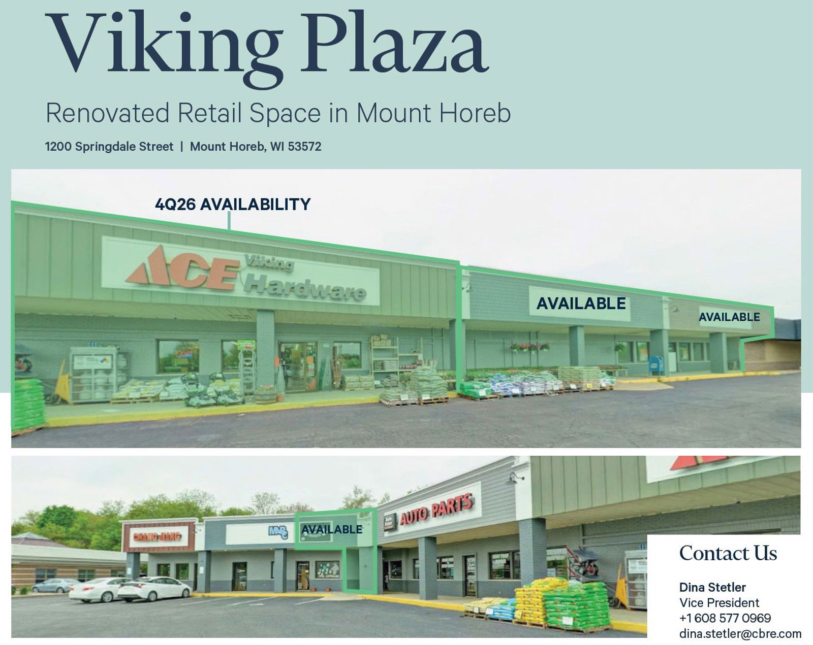 Cover_Viking Plaza, Mount Horeb