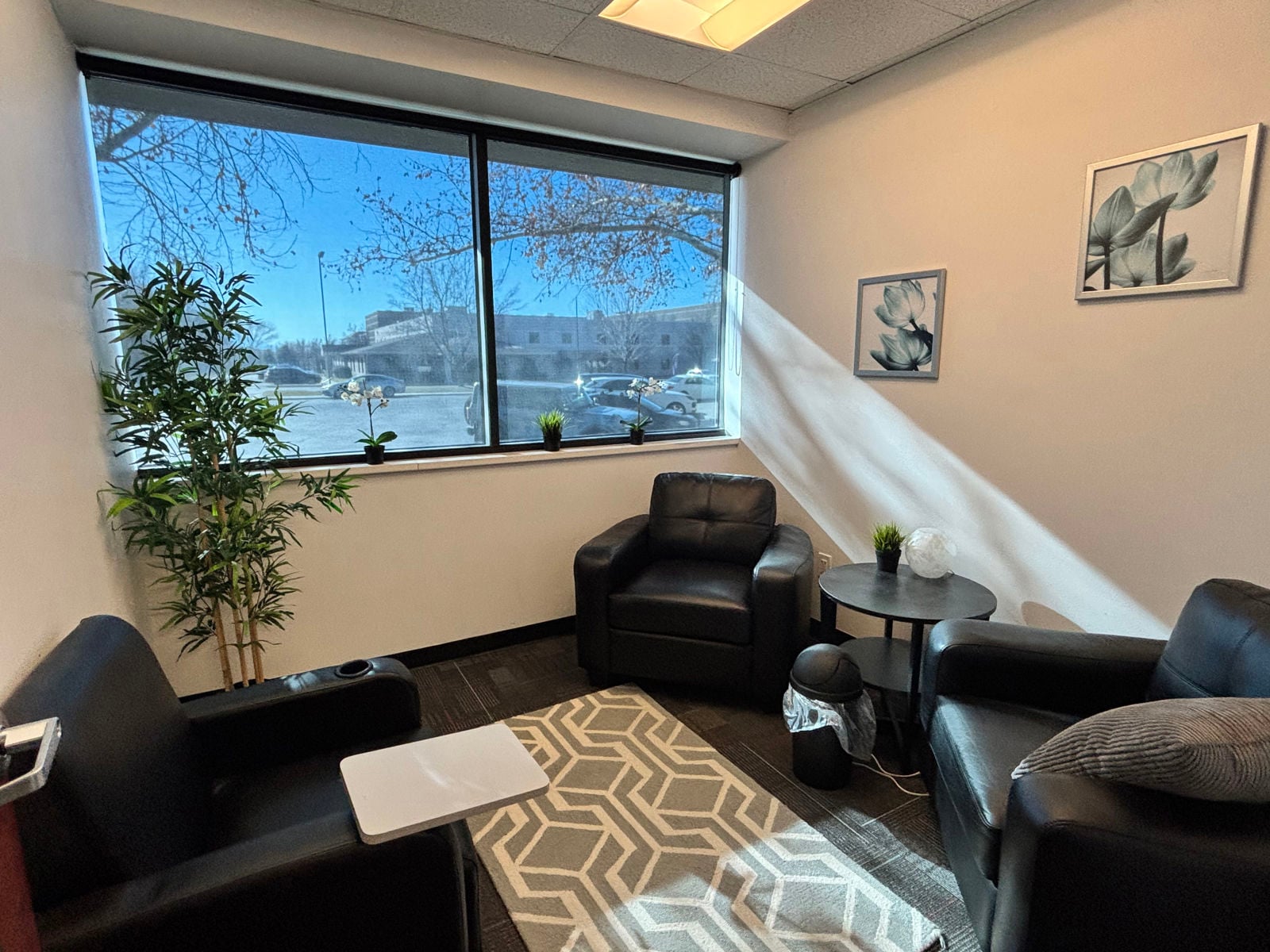 Traditional Therapy Room